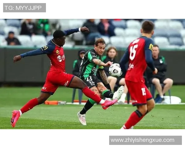 上海网球队以74分领跑世锦赛积分榜展现强劲实力 上海网球队以74分领跑世锦赛积分榜展现强劲实力